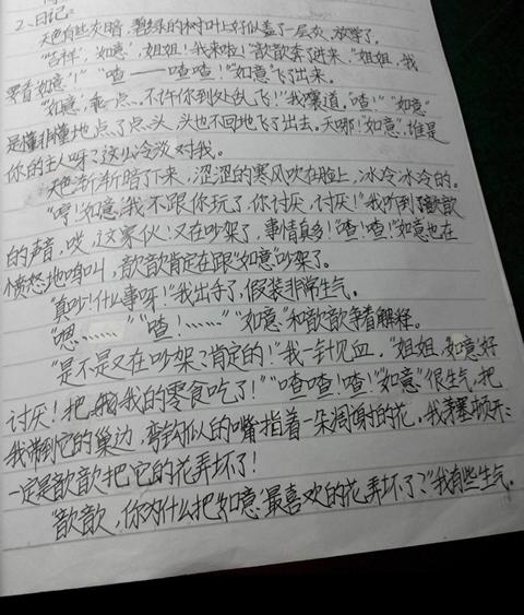 每周日记150字