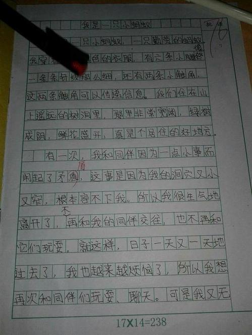 关于自我介绍的组成