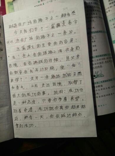 阅读金银岛后200字