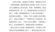 童年的记忆400字