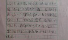 关于付出的作文