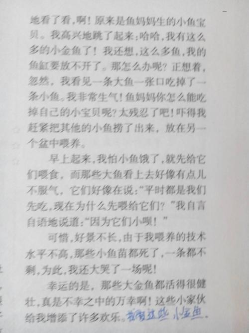 200字关于规则