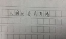 关于人间处处有真情的作文