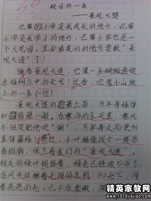 关于母亲的成分的200个单词