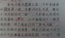 描写妈妈的作文200字