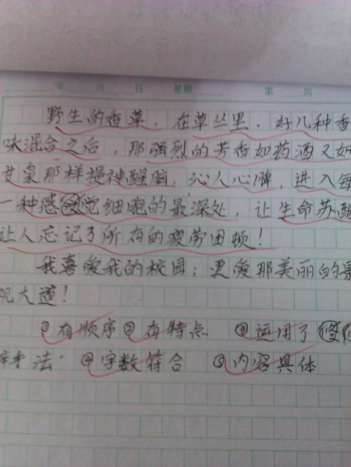 风景构成