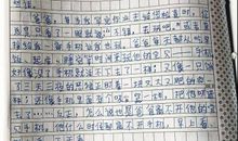 了不起的爸爸作文