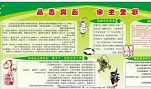 节能环保我先行作文800字