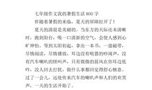 我的假期生活800字