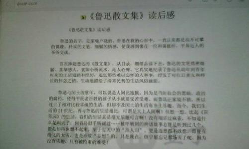 最美丽的散文