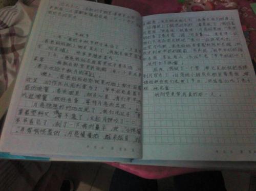 春节作文