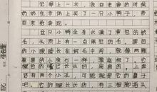 我喜欢夏季作文