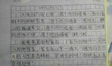 初中周记400字大全