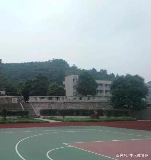 校园学术论文