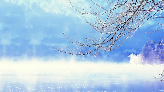 雪组成