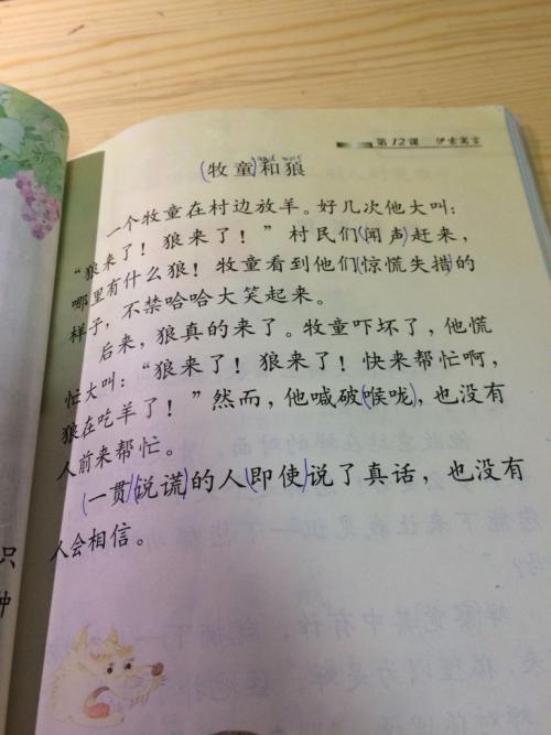 蝉和福克斯