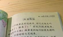 蝉和狐狸读后感