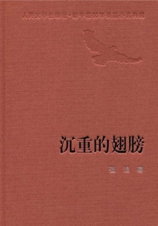 看完沉重的翅膀