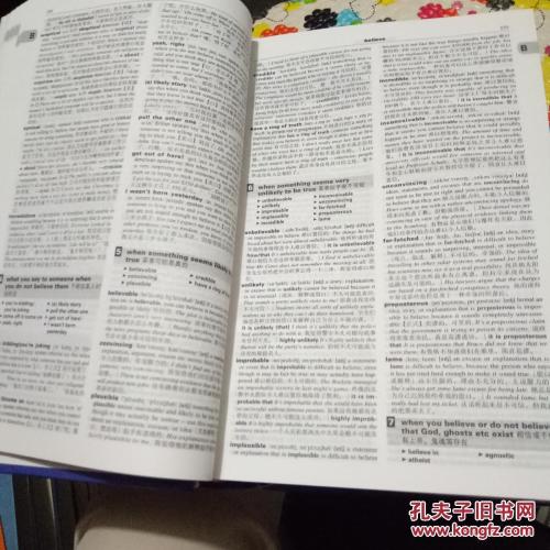字典自我报告的成分