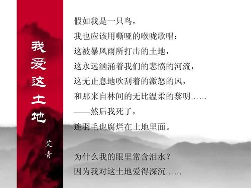 如果我是鸟