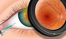 大自然中的发现