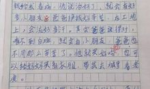 作文我的父亲