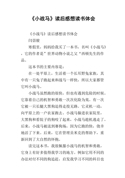 看完小战马600字