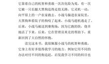 小战马读后感600字