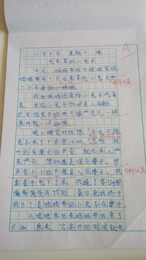 五一旅行笔记组成400字