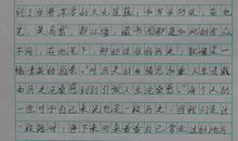 文化苦旅的读后感