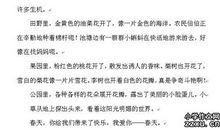 温暖的作文600字