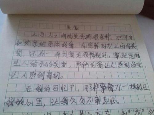 护理和帮助组成