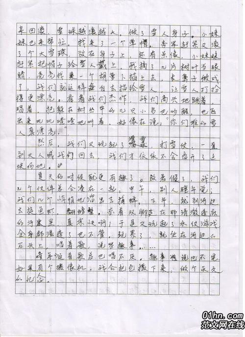 五年级作文寒假乐趣
