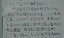 以温暖为题的作文