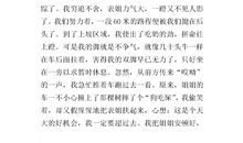 三年级寒假趣事作文