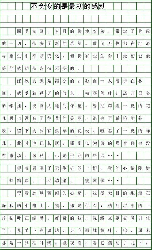 中学生作文感动