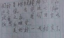 小学生日记30字