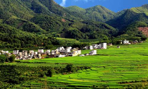 田园风光构图