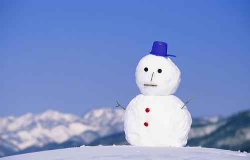 美丽的雪组成