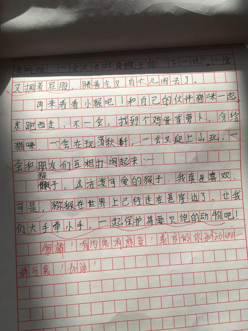 寒假滑雪组成