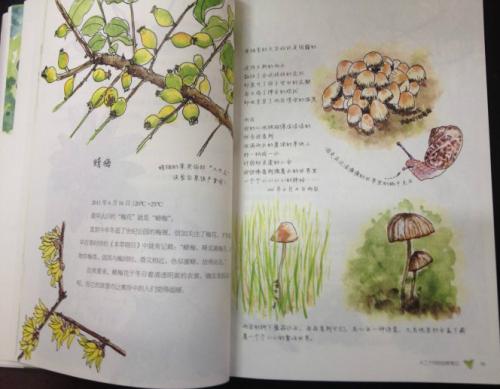 关于自然的笔记