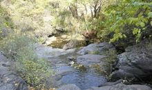 故乡的秋天作文