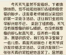 描述菊花的小学组成