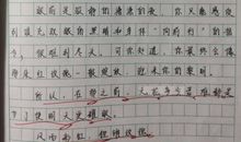 关于温暖的作文