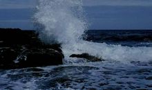 烟台的海读后感