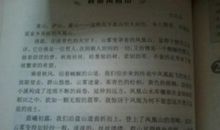 田园风光作文500字