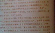 描写雪景的作文