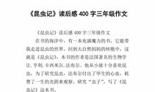 小学三年级作文读后感