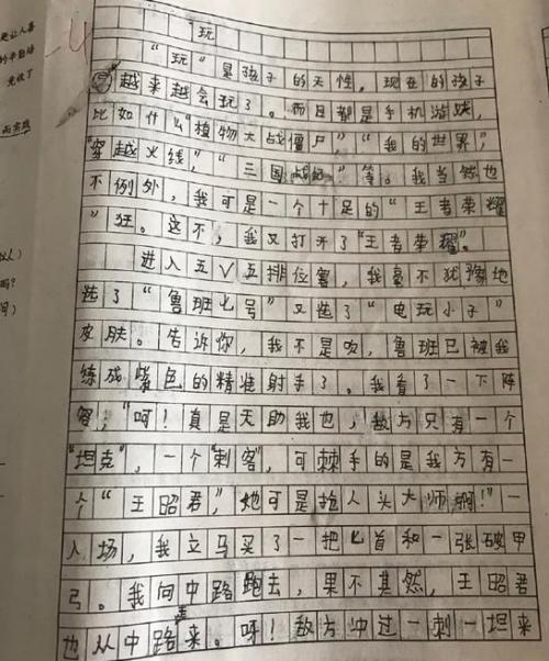 500字的小学生日日记