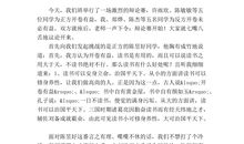 辩论会作文400字